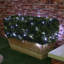 Ferndown 1000cm LED Solar Powered 100 - Bulb Fairy String Light-553047226