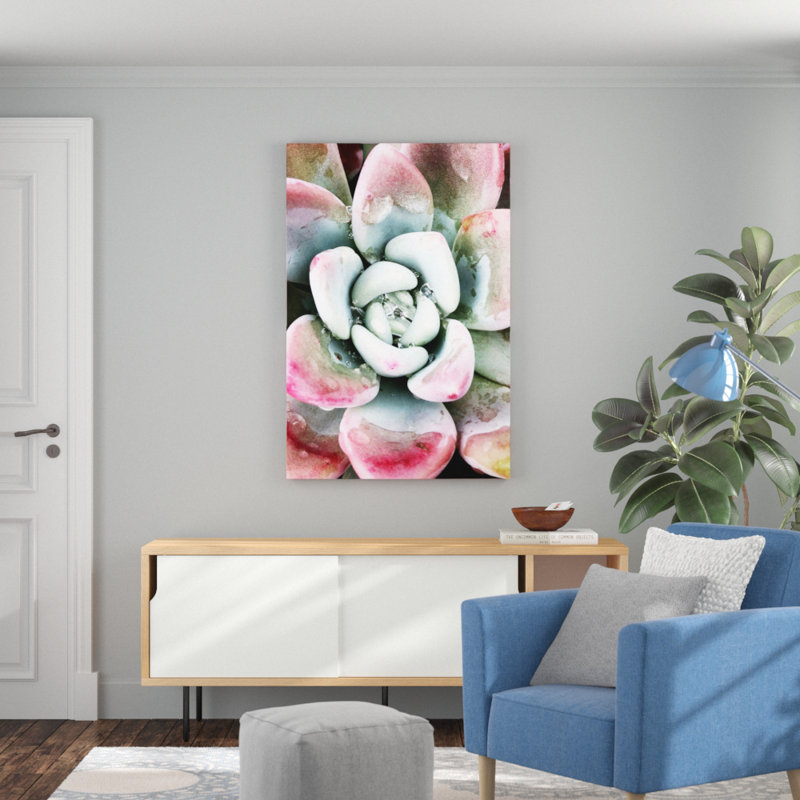 Pastel Succulent Beauty V by Irena Orlov - Photograph Print, 122cm H x 81cm W, Wrapped Canvas