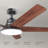 52 inch Ceiling Fan with Light and Remote Control-312187692