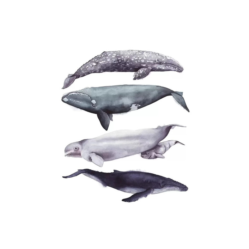 Whale Stack I, 30.48 cm H x 45.72 cm W