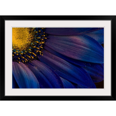 «Straub Blue Rays» par Azorsteinn H. Ingibergsson - reproduction d'art