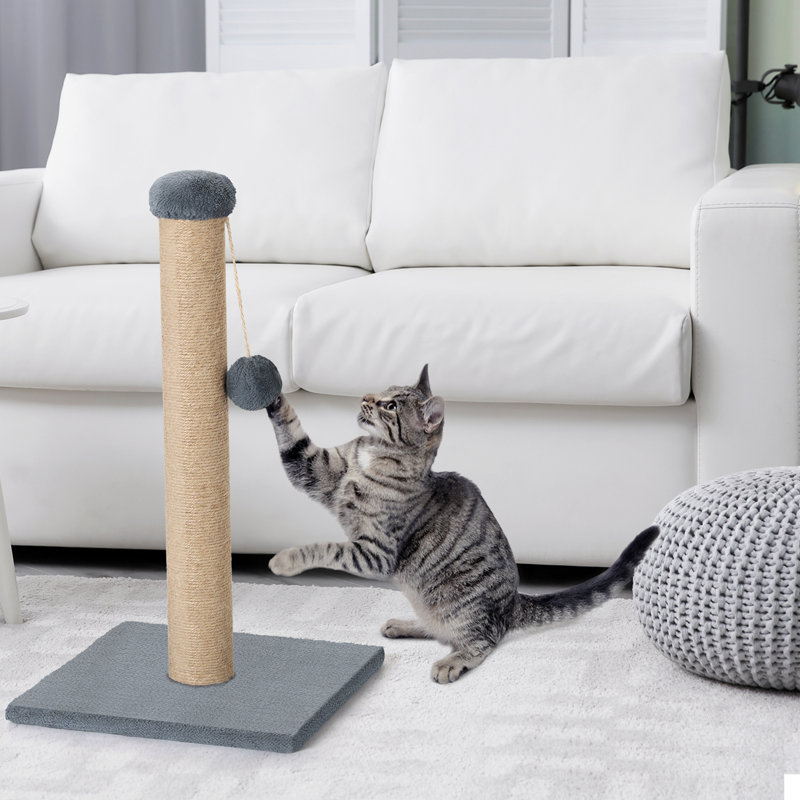 Calianne Scratching Post