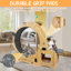 Roue d'exercice pour chat 6-en-1, roue améliorée pour chats d'intérieur