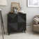 Addisyn Accent Cabinet