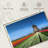 Alvord Windmill And Tulips-107501220