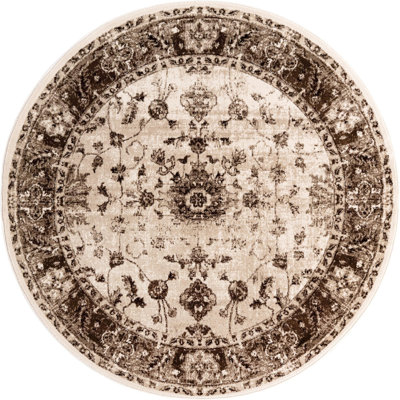 Emigdio Oriental Indoor Rug