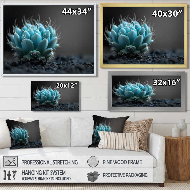 «Green», gris, monochrome, fleur de désert, cactus floral, impression d'art mural, Toile tendue, H 34 po x l 44 po
