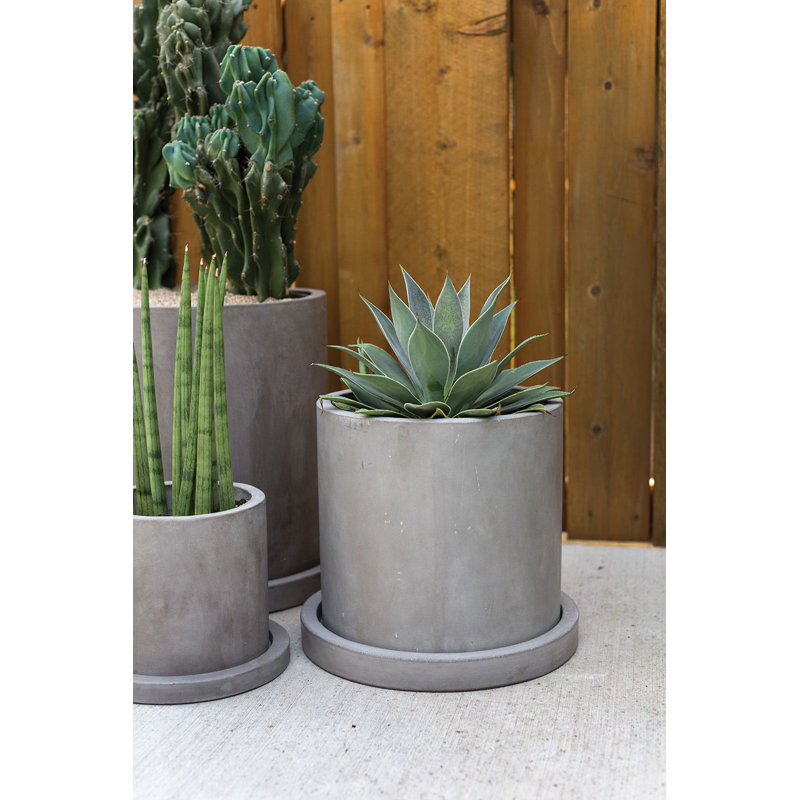 Lemont Concrete Pot Planter, 12.25" H x 14" W x 14" D