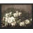 " Still Life White Flower Wall Art Natural Landscape Country Farmhouse Vintage Painting Print "-93487824-93487825