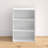 Hinshaw Bookcase-2135484387