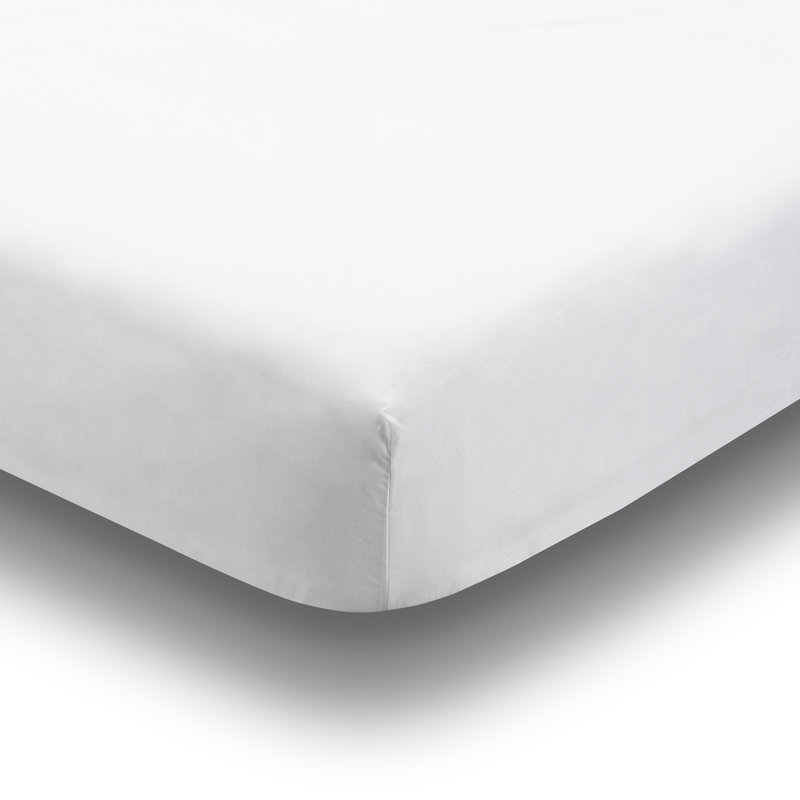 Fascino Percale Fitted Sheet, White, Queen