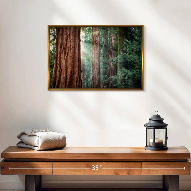 Sunkissed Sequoia Trees, 19" X 13", Floating Frame Gold