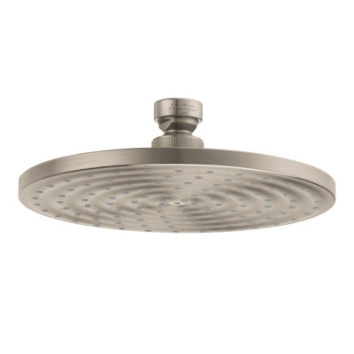 Raindance Downpour Rain Shower Head