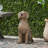 Outdoor MGO Dog Statue Decor, No Assembly Required