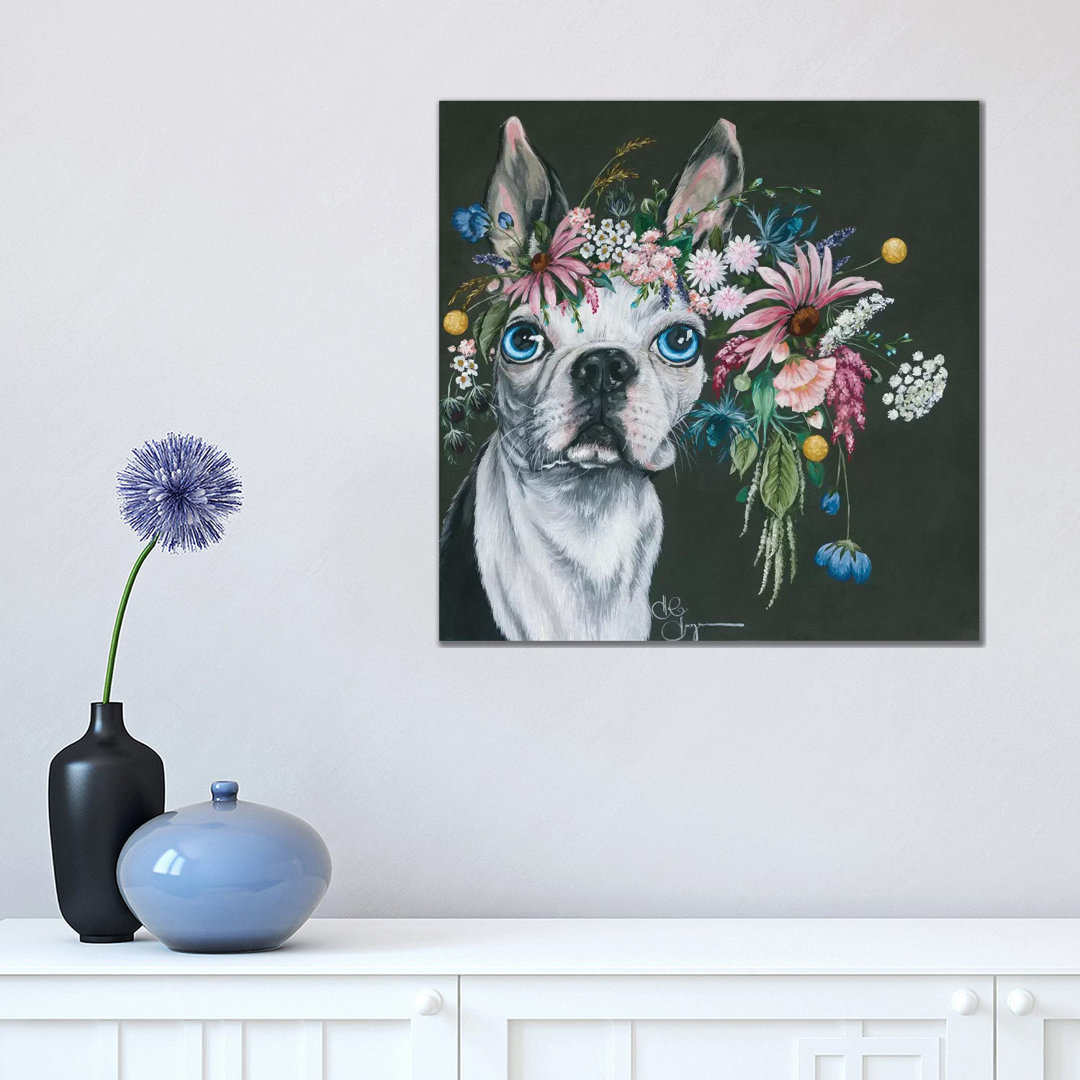 Boston Terrier - Wrapped Canvas Print