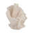 Decorative Polyresin Coral Figurine Object for Home Decor - Coastal Statue Sculpture for Console Table Accent or Living Room Decoration - Ivory & Tan