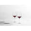 Nektar Wine Glass-1109659583