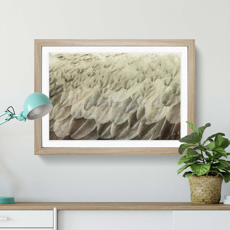 Feathers - Picture Frame Graphic Art Print, 50cm H x 76cm W x 2cm D, Oak
