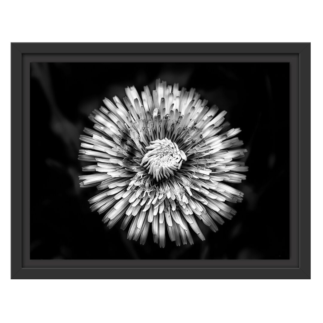 Gerahmtes Wandbild Dark prächtige gelbe Blume