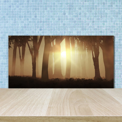 50cm W x 100cm L Glass Peel and Stick Panel