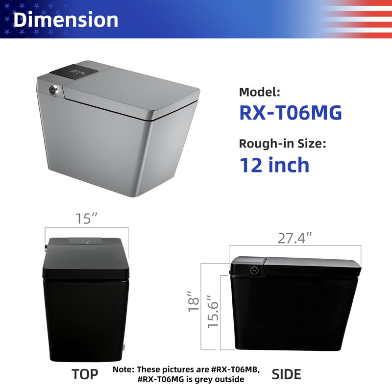 Rainlex 0.8 Gallons GPF Elongated Floor Mounted Bidet Toilet (Seat Included), Matte Gray