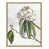Grain de bois naturel