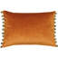 Fiesta Rectangular Scatter Cushion-36368863