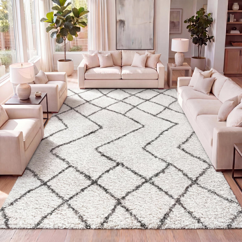 Tapis beige / gris foncé à longs poils Schlosser, Rectangle 5 pi 3 po x 7 pi 7 po