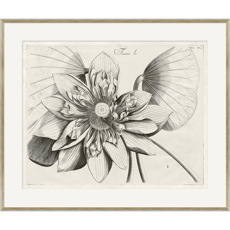 Malaberica Brittanica 6 Framed