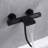 Wall Tub Spout with Diverter