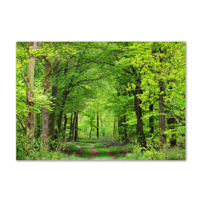 Spring Forest - Wrapped Canvas Print