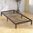 Kremmling 10" Platform Bed-1664134426