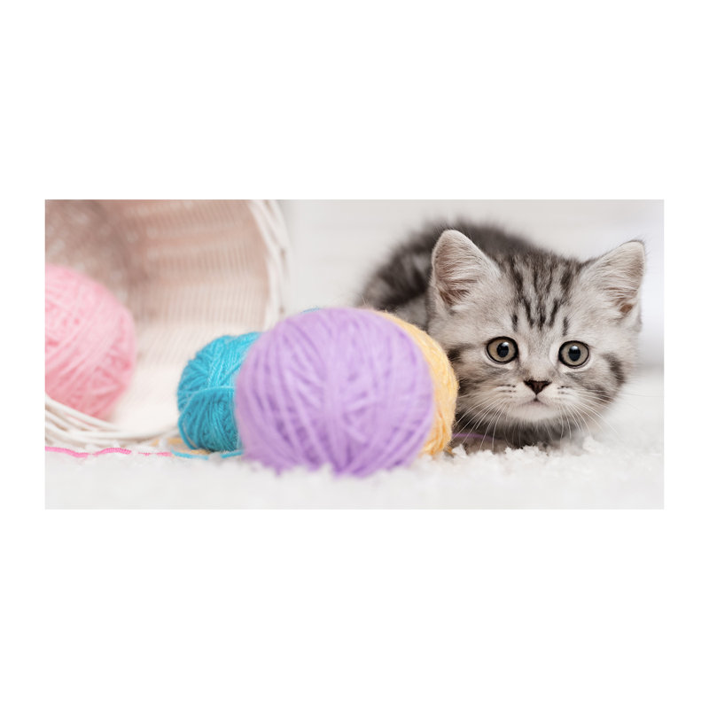 Cat With Hanks - Wrapped Canvas Print