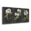 «Dramatic White Flowers I», ensemble de 3 impressions sur toile tendue-77262281