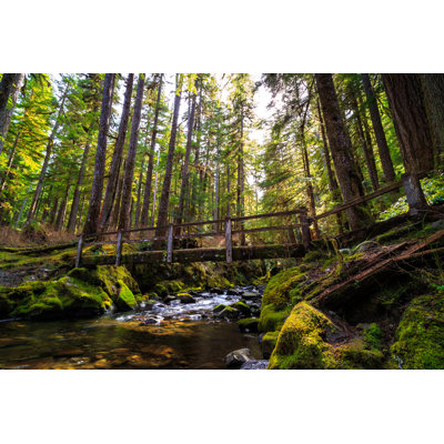 " Sol Duc Wilderness At Olympic National Park " by Bartfett