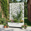 Planter Box-1670867165-1670867160