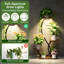 Plant Stand