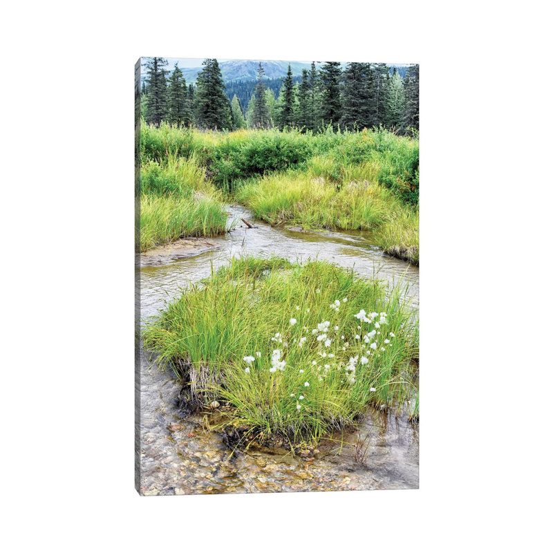Alaska Marshland by Savanah Plank - Gallery-Wrapped Canvas Giclée on Canvas, 66.04 cm H x 45.72 cm W x 1.91 cm D, Canvas