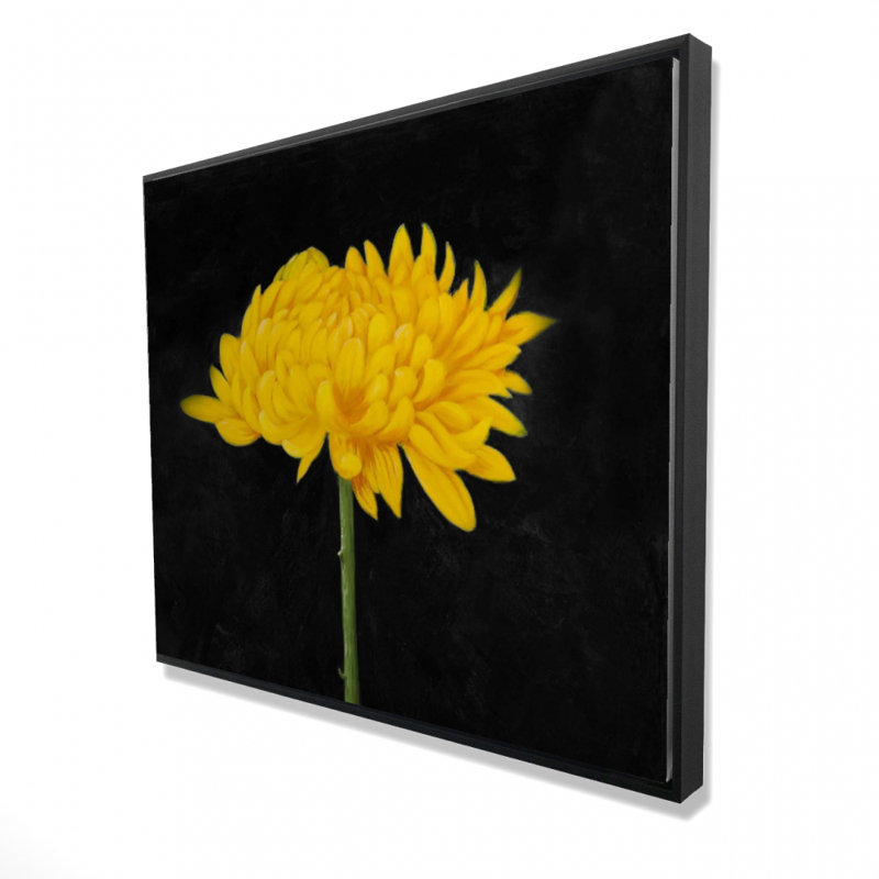 Chrysanthemum Framed Canvas - Floral Home Decor Art