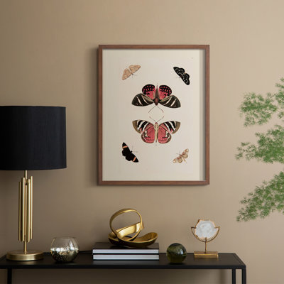 Vintage Animal Print XLVIII Framed Print - Solid Wood