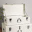 2 Piece Accent Trunk Set-1404838383