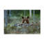 Art sur toile Assaf Gavra-109345664