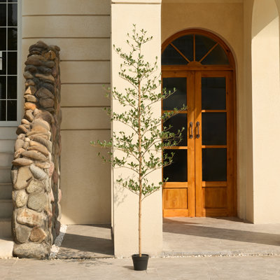Arbre artificiel Adcock, olive noire, plantes artificielles résistantes aux rayons UV - tronc de bois véritable, plante d'extérieur