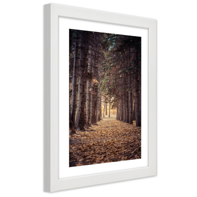 Forest In Autumn - Single Picture Frame Print