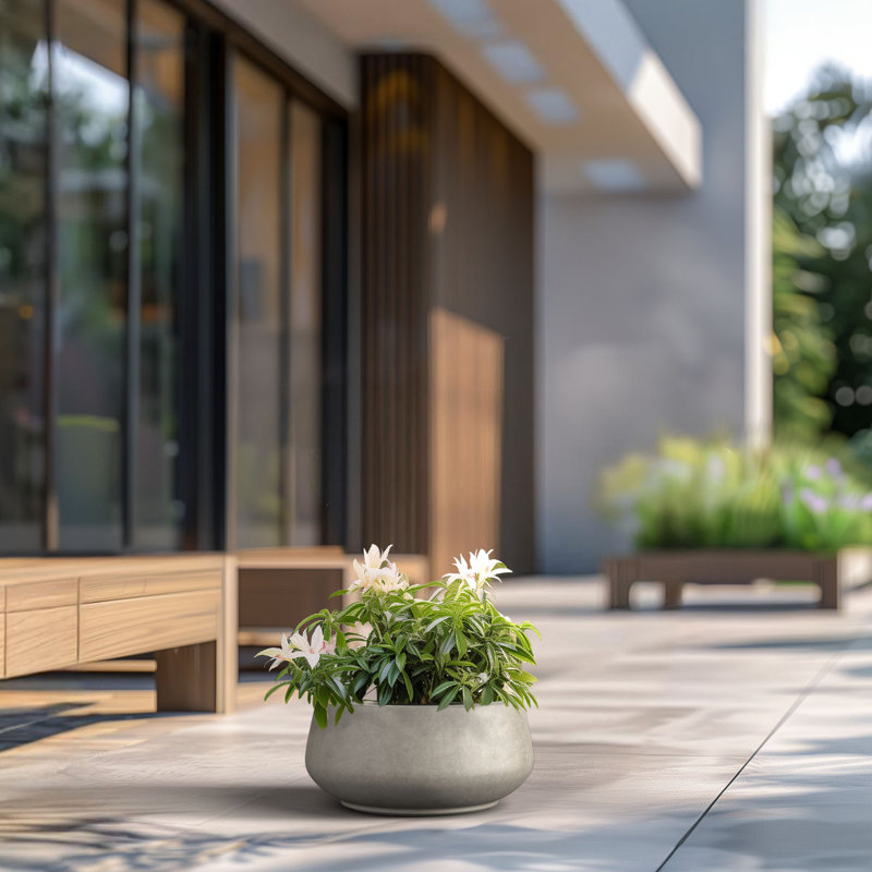 Pot à fleurs moyen rond en béton avec trous de drainage, Gris clair, H 7,87 po x l 16,93 po x P 16,93 po