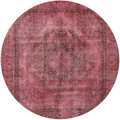 Ahnyla Oriental Indoor Rug