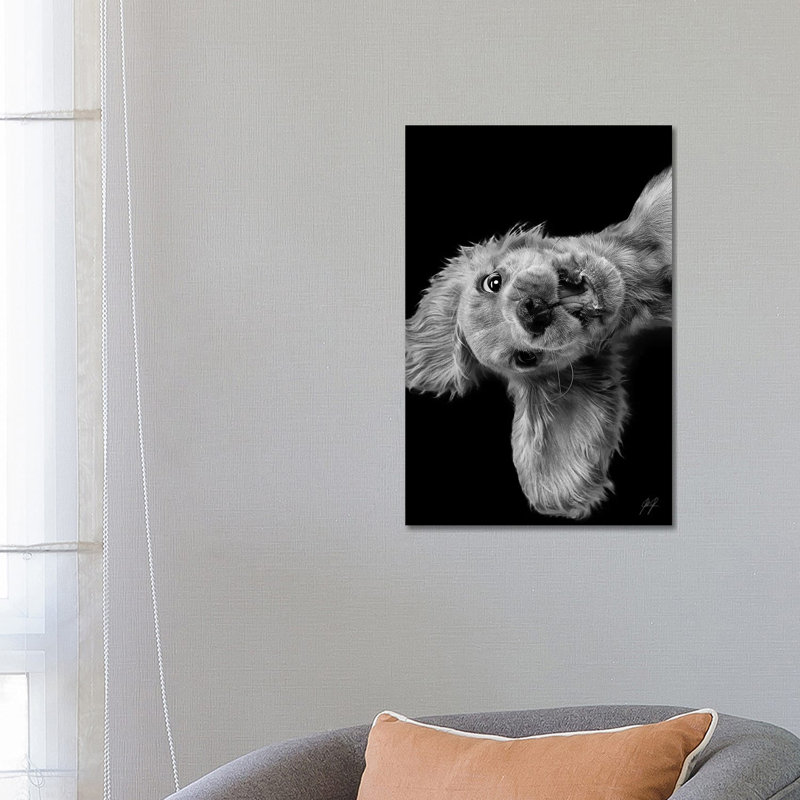 Freaky Friday by Kathrin Federer - Print on Canvas, 66.04 cm H x 45.72 cm W x 1.91 cm D, Wrapped Canvas