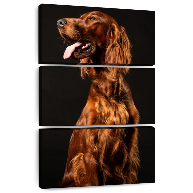 Setter irlandais Brampt, H 57 po x l 36 po