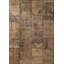 Rapture Patchwork Area Rug in Brown-1521508402