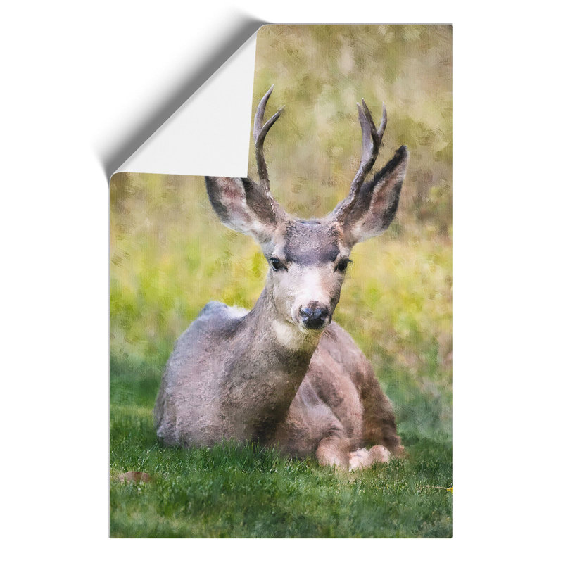 A Resting Deer Painting - Frameless Print, 59cm H x 42cm W x 0.1cm D